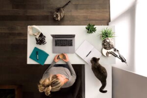 woman working at her desk with kitties t20 3Q1pbN 1